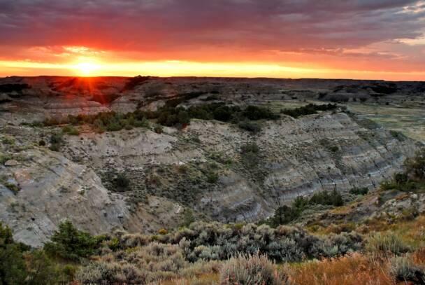 Theodore Roosevelt National Park