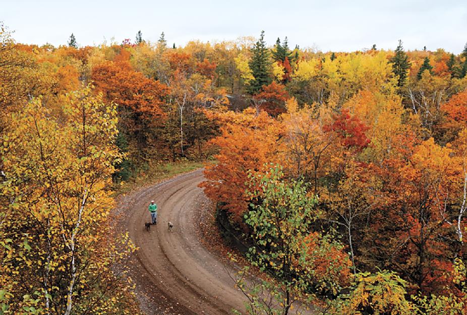 Fall colors in Minnesota 2013