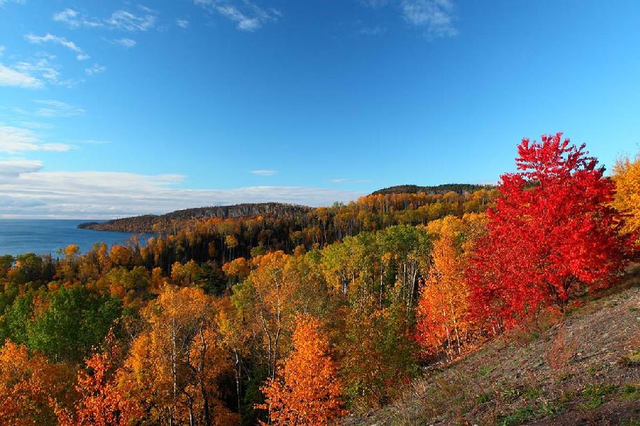 Fall colors in Minnesota 2013